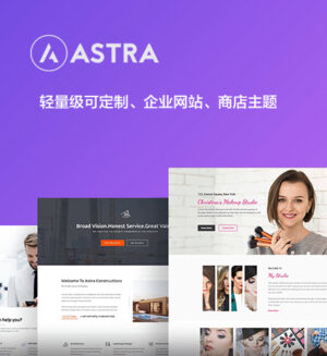 Astra | 企业 博客 商店 可定制轻量级 WordPress 主题